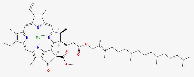 Chlorophyll A Chlorophyll A