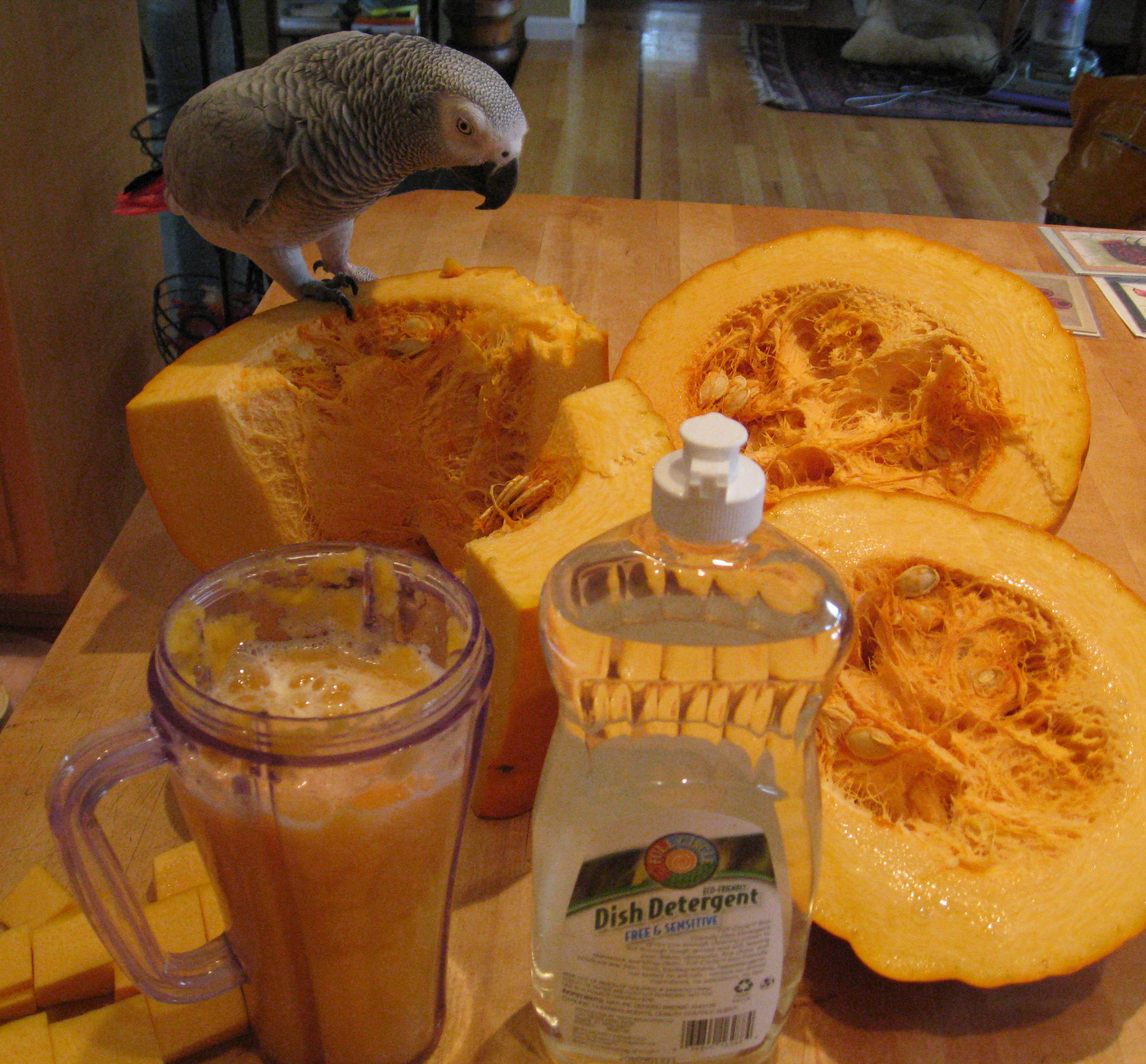 helper_no_longer_allowed_to_taste.jpg