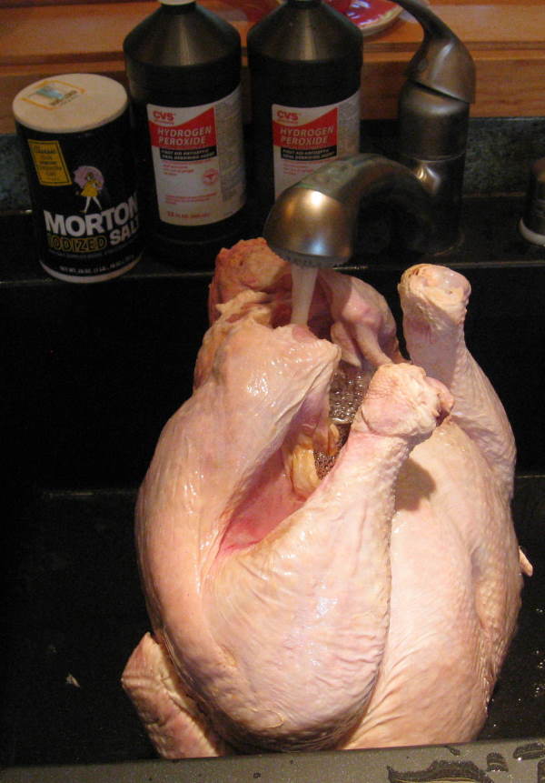 small_clean_the_bird_2.jpg