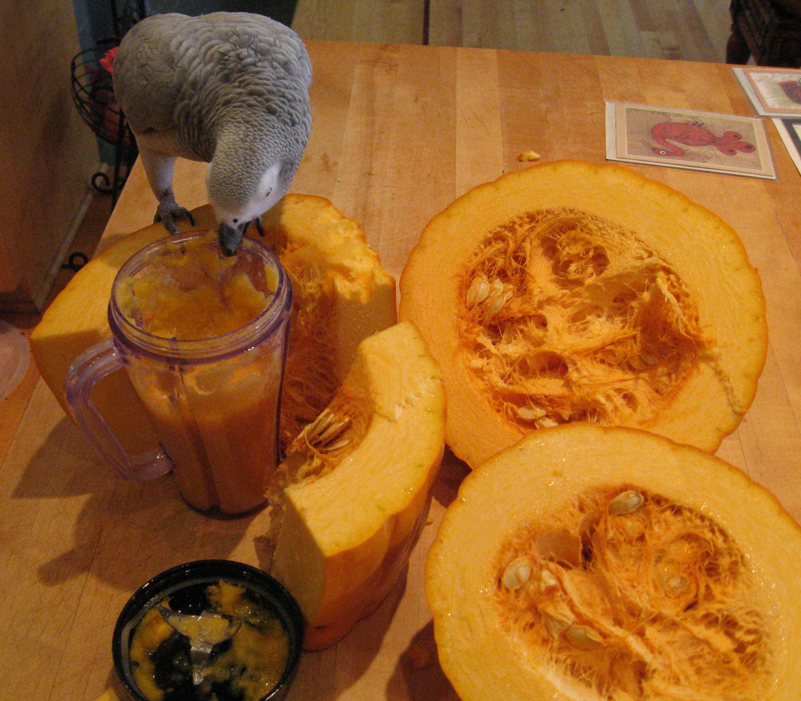 the_helper_tastes_the_puree.jpg